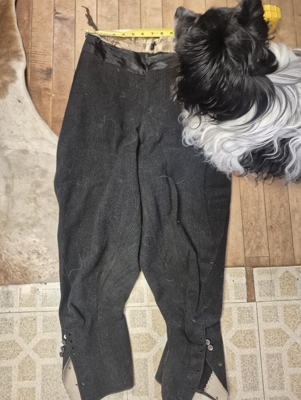 Antique Riding Pants - Picture 4 of 12